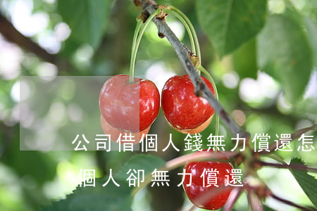公司借個人錢無力償還怎么辦呢，公司借款給個人卻無力償還？解決方案大揭秘！